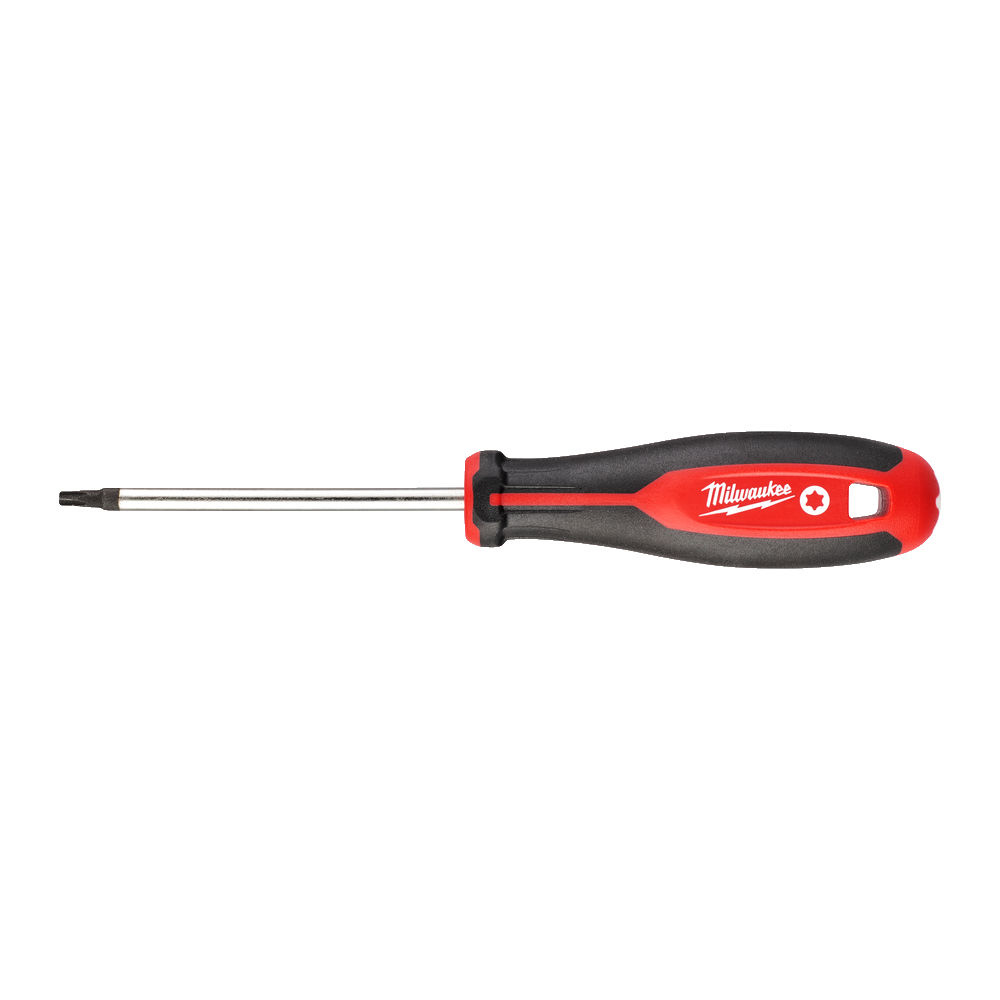 ΚΑΤΣΑΒΙΔΙ TORX T25X100 MW