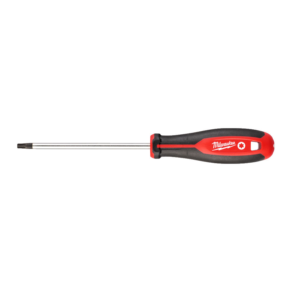 ΚΑΤΣΑΒΙΔΙ TORX T30X125 MW
