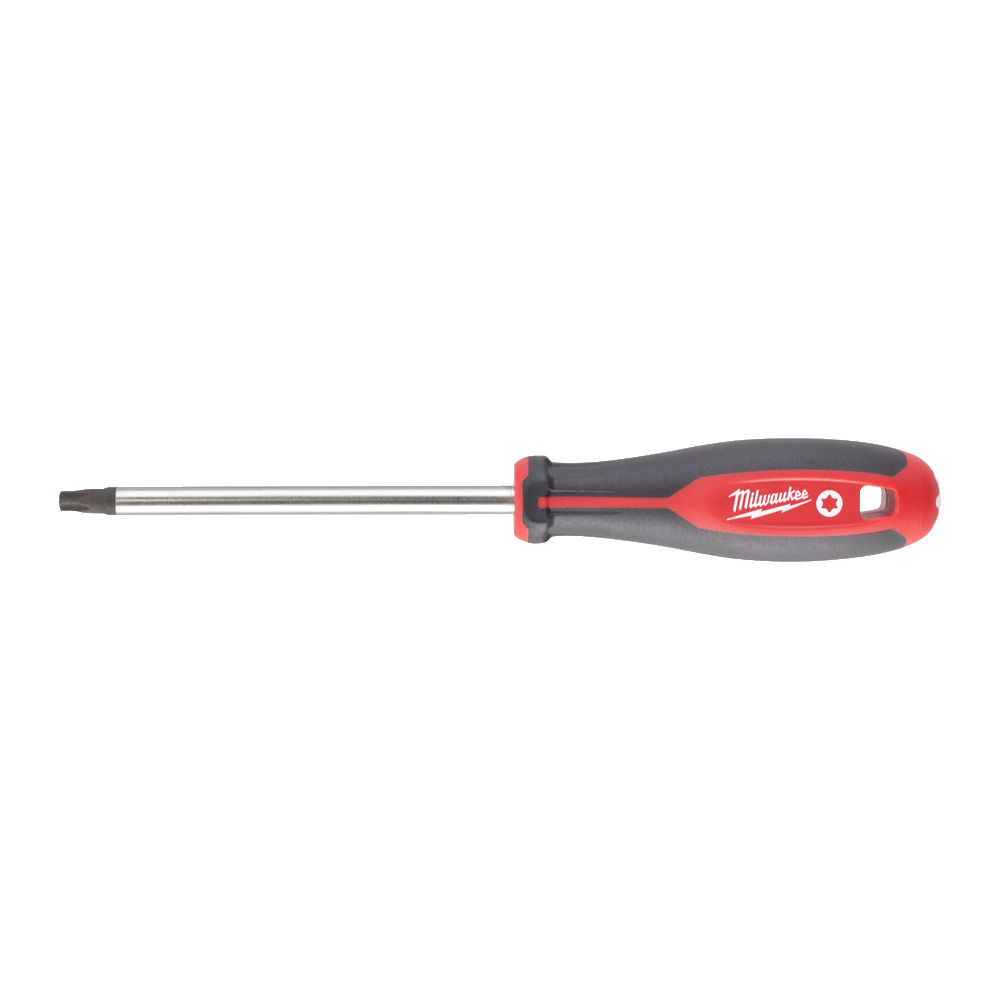 ΚΑΤΣΑΒΙΔΙ TORX T40X125 MW